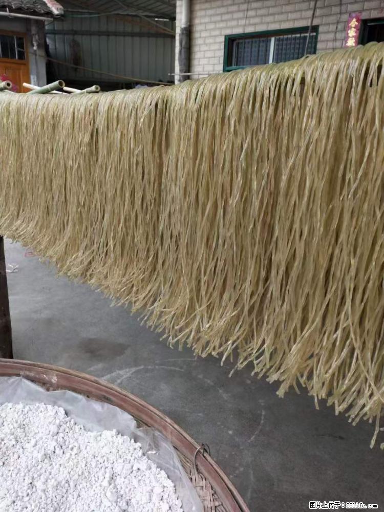 【灌阳正宗红薯粉】美女家里自己做的,干净卫生,假一赔十,价格合理,抢购电话:13737312895 - 美食天地 - 柳州生活社区 - 柳州28生活网 liuzhou.28life.com