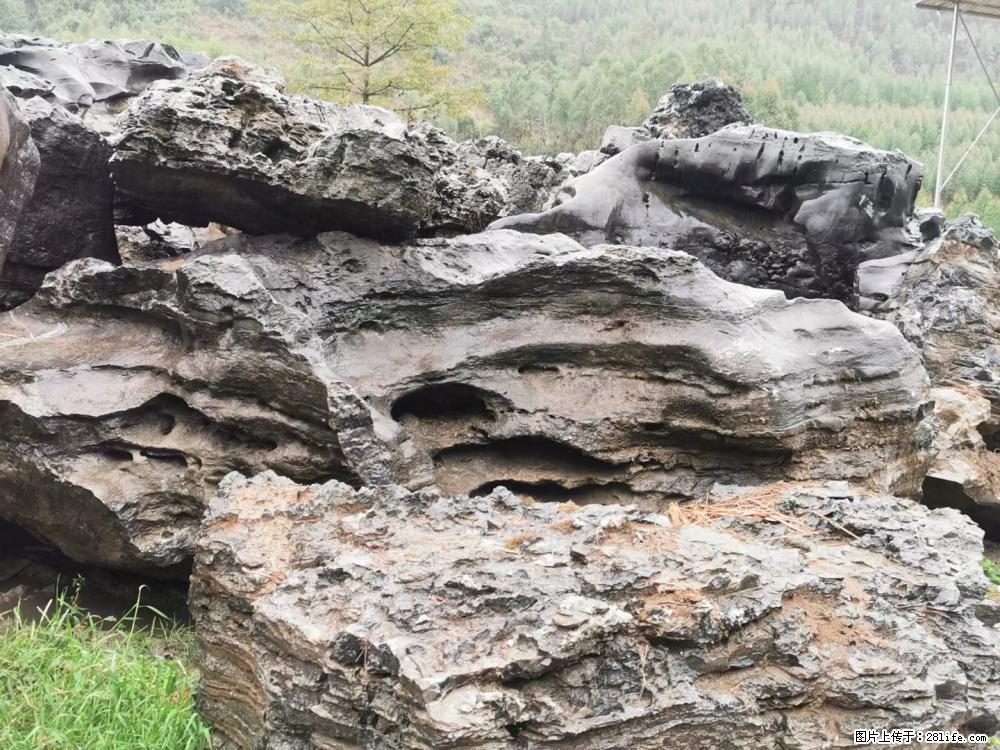风景石、假山石大量有货,有需要的欢迎联系 - 新手上路 - 柳州生活社区 - 柳州28生活网 liuzhou.28life.com