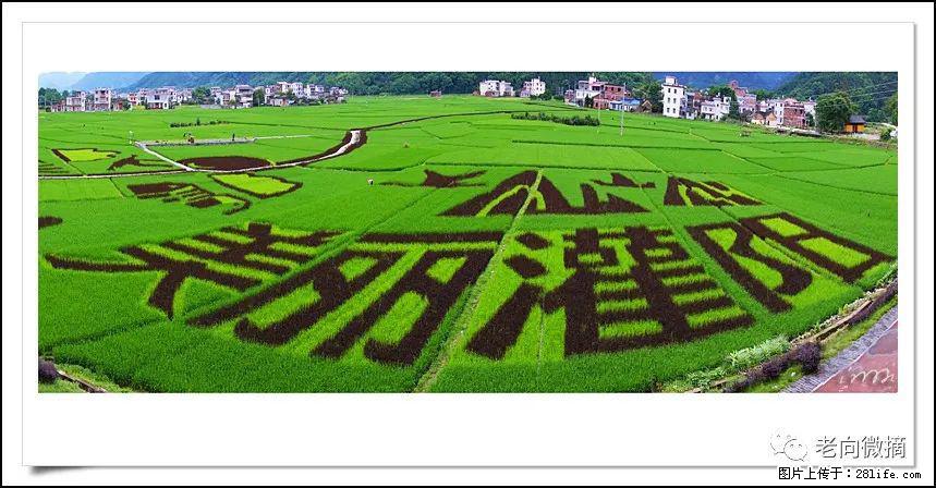 【春天，广西桂林灌阳县向您发出邀请！】开篇 - 游山玩水 - 柳州生活社区 - 柳州28生活网 liuzhou.28life.com