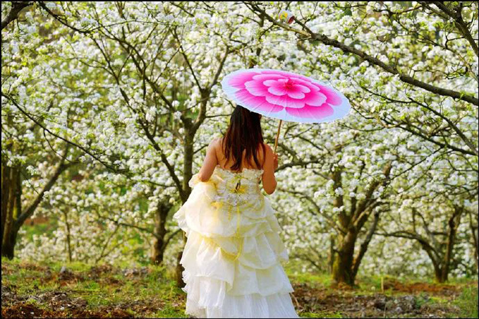 【春天，广西桂林灌阳县向您发出邀请！】我们在灌阳看梨花 - 游山玩水 - 柳州生活社区 - 柳州28生活网 liuzhou.28life.com