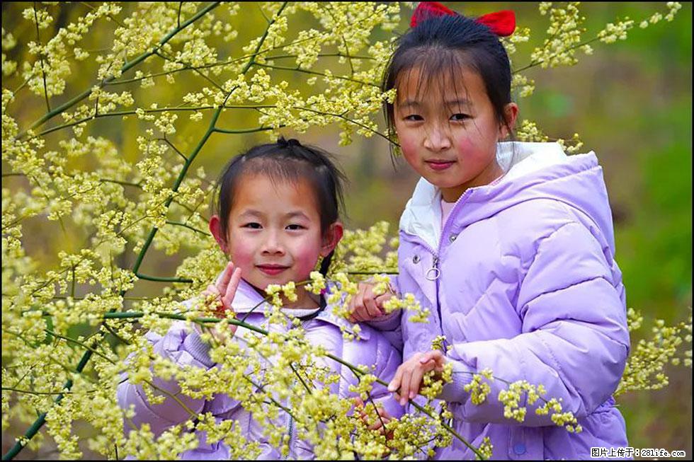 【春天,广西桂林灌阳县向您发出邀请!】米珠山前有片山苍子花在飘香 - 游山玩水 - 柳州生活社区 - 柳州28生活网 liuzhou.28life.com