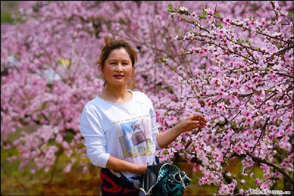 【春天,广西桂林灌阳县向您发出邀请!】官庄村有个醉美的桃花园 - 游山玩水 - 柳州生活社区 - 柳州28生活网 liuzhou.28life.com