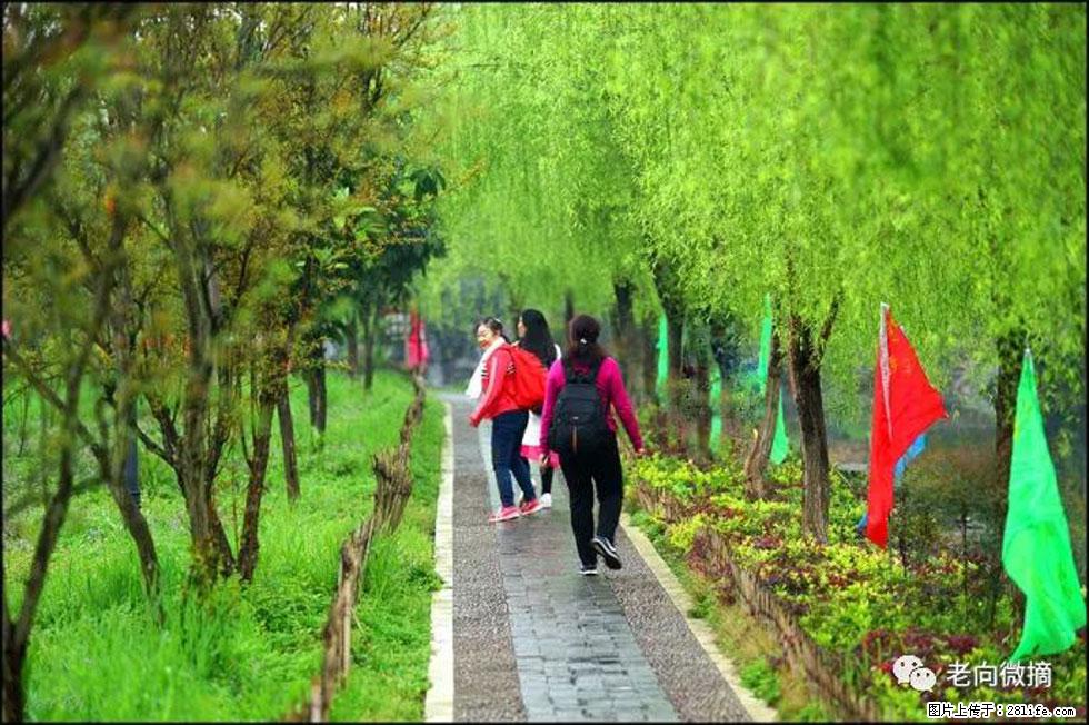【春天,广西桂林灌阳县向您发出邀请!】江口老街又逢春 - 游山玩水 - 柳州生活社区 - 柳州28生活网 liuzhou.28life.com
