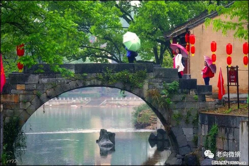 【春天,广西桂林灌阳县向您发出邀请!】江口老街又逢春 - 游山玩水 - 柳州生活社区 - 柳州28生活网 liuzhou.28life.com