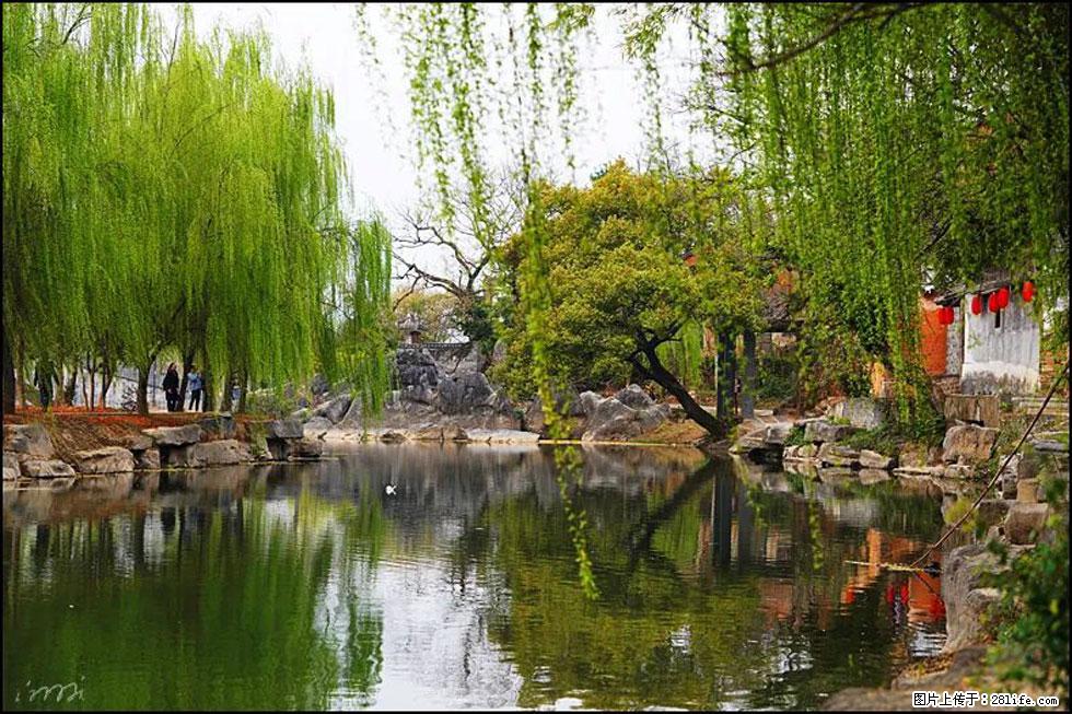 【春天,广西桂林灌阳县向您发出邀请!】江口老街又逢春 - 游山玩水 - 柳州生活社区 - 柳州28生活网 liuzhou.28life.com