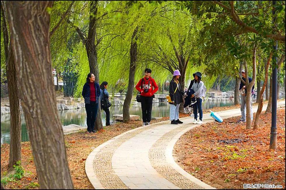 【春天,广西桂林灌阳县向您发出邀请!】江口老街又逢春 - 游山玩水 - 柳州生活社区 - 柳州28生活网 liuzhou.28life.com