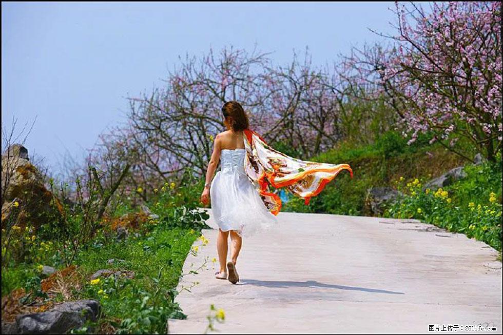 【春天，广西桂林灌阳县向您发出邀请！】望月岭上桃花开 - 游山玩水 - 柳州生活社区 - 柳州28生活网 liuzhou.28life.com