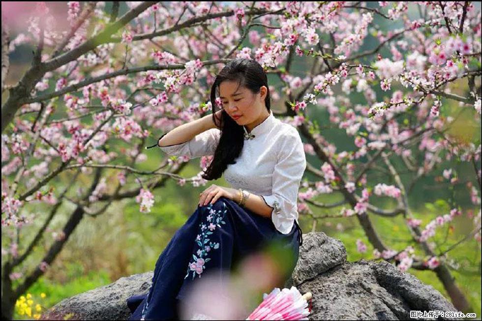 【春天，广西桂林灌阳县向您发出邀请！】望月岭上桃花开 - 游山玩水 - 柳州生活社区 - 柳州28生活网 liuzhou.28life.com