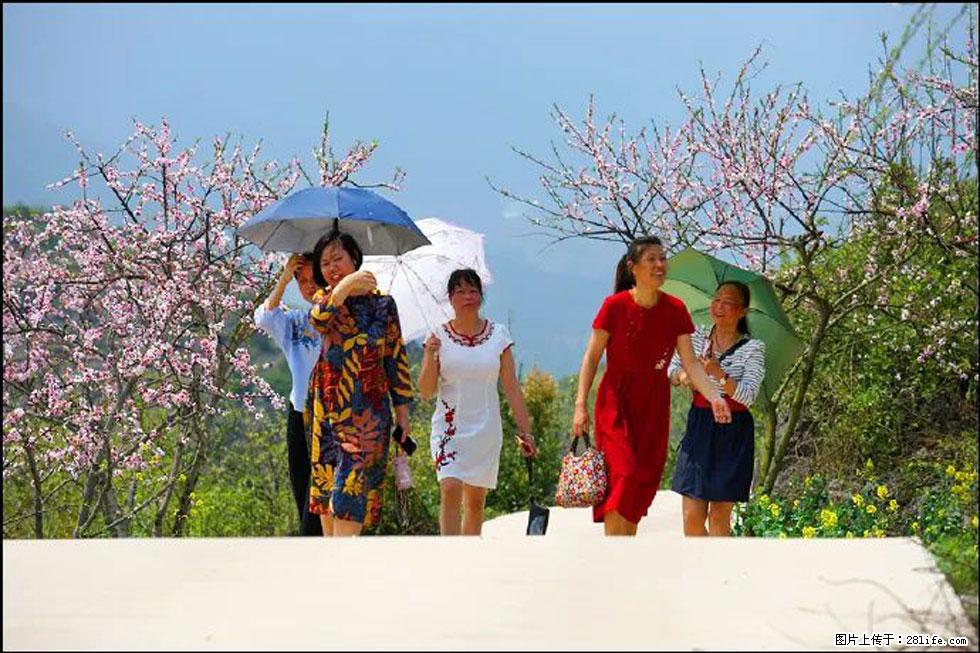 【春天，广西桂林灌阳县向您发出邀请！】望月岭上桃花开 - 游山玩水 - 柳州生活社区 - 柳州28生活网 liuzhou.28life.com