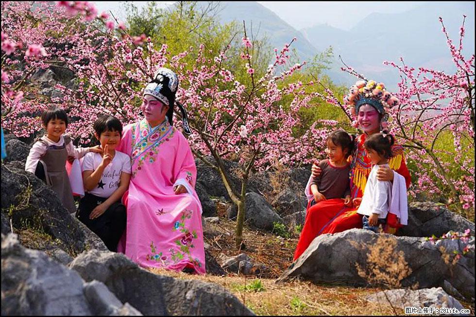 【春天，广西桂林灌阳县向您发出邀请！】望月岭上桃花开 - 游山玩水 - 柳州生活社区 - 柳州28生活网 liuzhou.28life.com