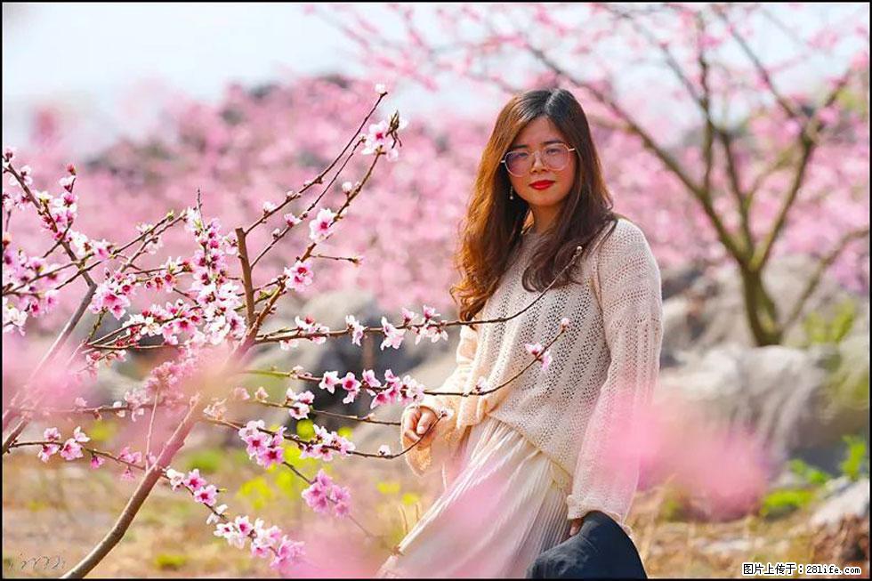 【春天，广西桂林灌阳县向您发出邀请！】望月岭上桃花开 - 游山玩水 - 柳州生活社区 - 柳州28生活网 liuzhou.28life.com