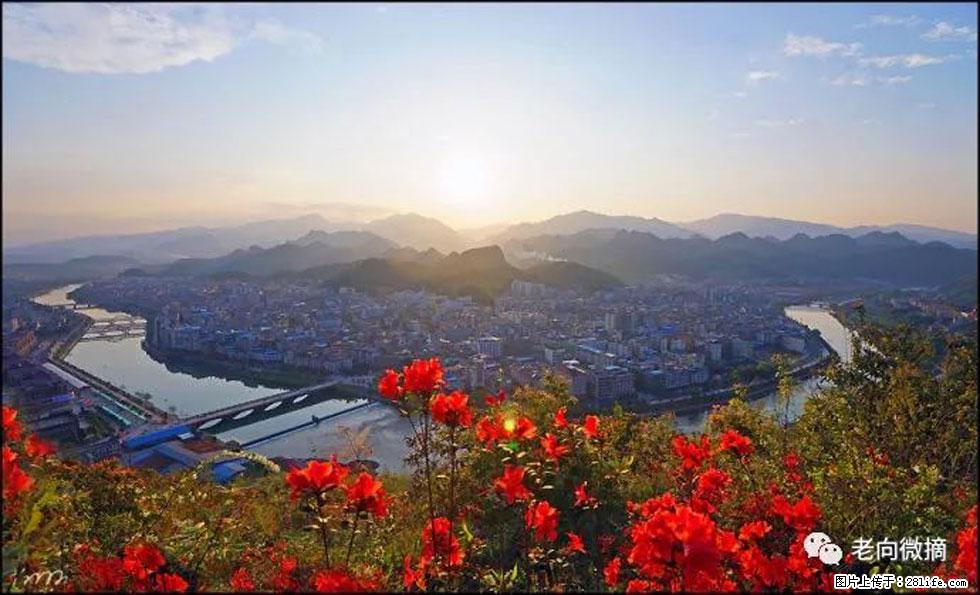 【春天，广西桂林灌阳县向您发出邀请！】登麒麟山，相约映山红 - 游山玩水 - 柳州生活社区 - 柳州28生活网 liuzhou.28life.com