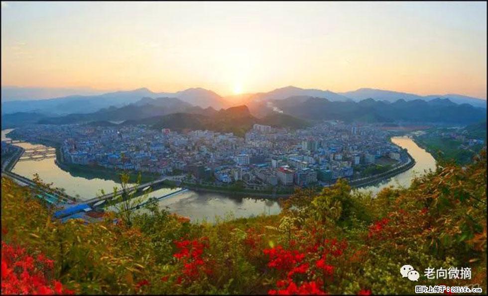 【春天，广西桂林灌阳县向您发出邀请！】登麒麟山，相约映山红 - 游山玩水 - 柳州生活社区 - 柳州28生活网 liuzhou.28life.com