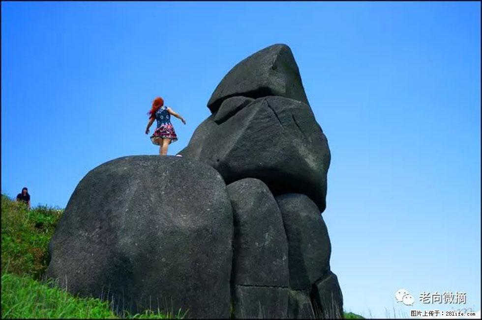 【春天，广西桂林灌阳县向您发出邀请！】宝盖山上映山红 - 游山玩水 - 柳州生活社区 - 柳州28生活网 liuzhou.28life.com