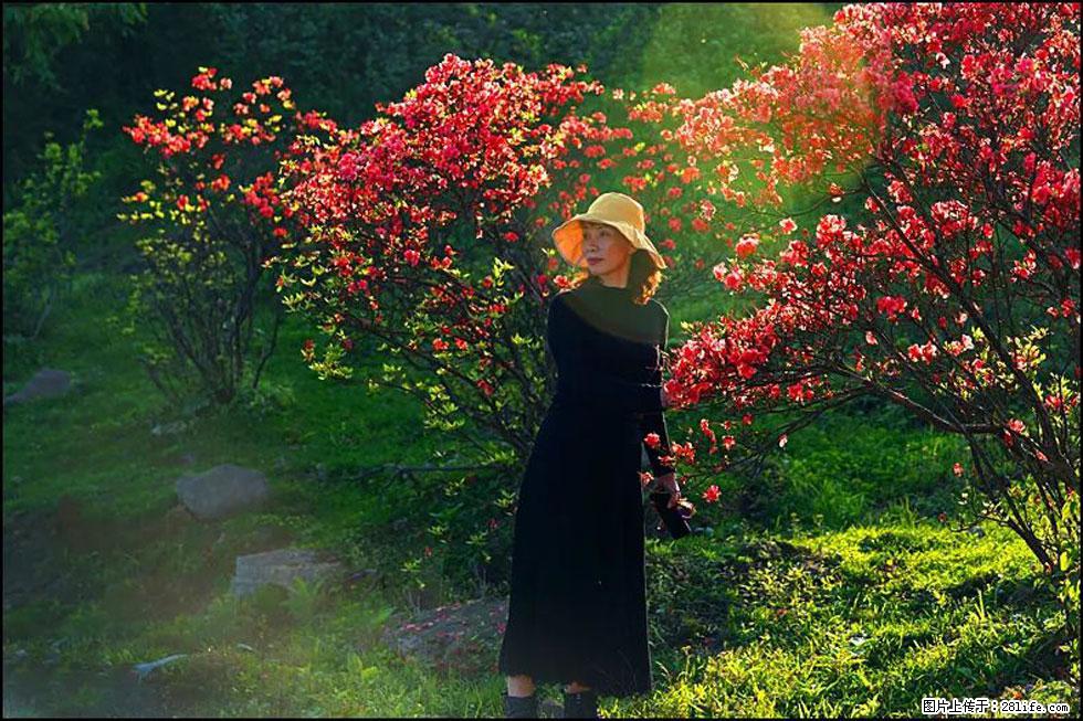 【春天，广西桂林灌阳县向您发出邀请！】春木界上映山红 - 游山玩水 - 柳州生活社区 - 柳州28生活网 liuzhou.28life.com