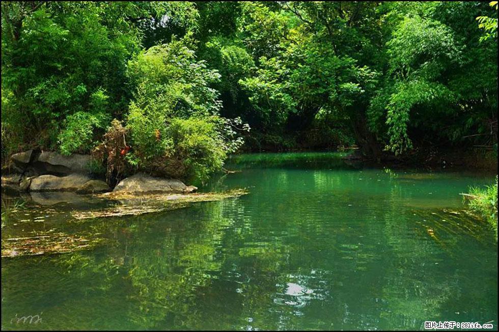 【春天，广西桂林灌阳县向您发出邀请！】如梦似幻莲溪庐 - 游山玩水 - 柳州生活社区 - 柳州28生活网 liuzhou.28life.com