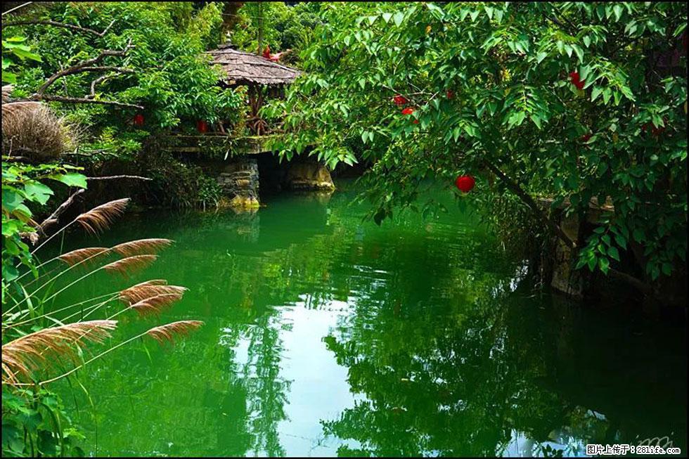 【春天，广西桂林灌阳县向您发出邀请！】如梦似幻莲溪庐 - 游山玩水 - 柳州生活社区 - 柳州28生活网 liuzhou.28life.com