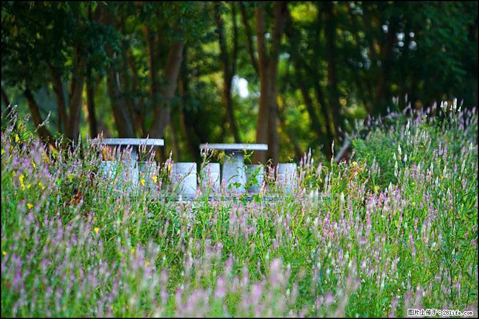 【春天，广西桂林灌阳县向您发出邀请！】熊家寨湿地公园 - 游山玩水 - 柳州生活社区 - 柳州28生活网 liuzhou.28life.com