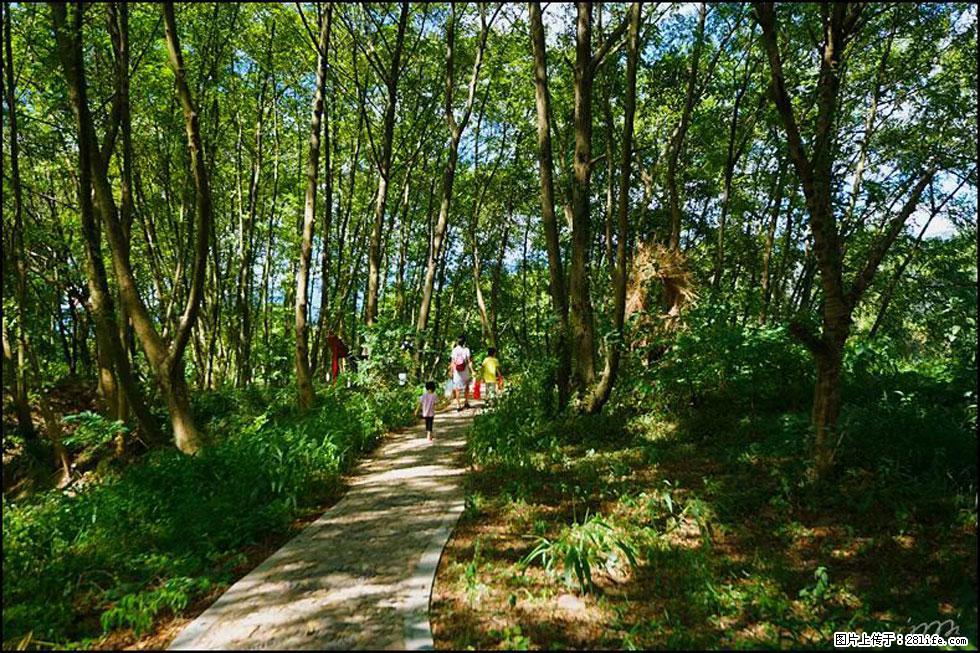 【春天，广西桂林灌阳县向您发出邀请！】熊家寨湿地公园 - 游山玩水 - 柳州生活社区 - 柳州28生活网 liuzhou.28life.com