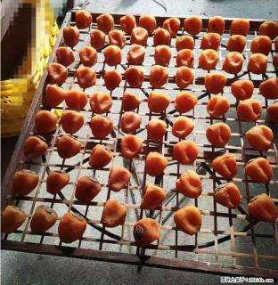 广西桂林平乐桥亭【柿饼之乡】2025年纯手工制作、无任何添加剂的第一批柿饼准备上市了，欢迎联系订购！ - 柳州28生活网 liuzhou.28life.com