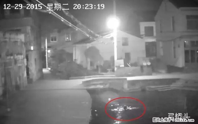 年轻妈妈低头玩手机被活活淹死!留下两个孩子… - 灌水专区 - 柳州生活社区 - 柳州28生活网 liuzhou.28life.com
