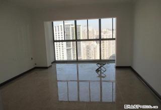 城中文昌桥头全新空房办公！1966旁边瑞景文苑！ - 柳州28生活网 liuzhou.28life.com