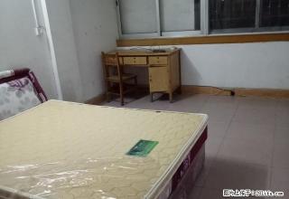 鹿山花苑精装2房出租,可拎包入住 - 柳州28生活网 liuzhou.28life.com
