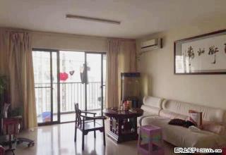 瑞景文苑 碧桂苑旁 阳光100的精装3房 拎包入住 不是9栋 - 柳州28生活网 liuzhou.28life.com