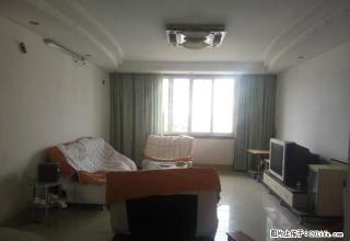 和平路文化区精装三房 租金便宜 - 柳州28生活网 liuzhou.28life.com