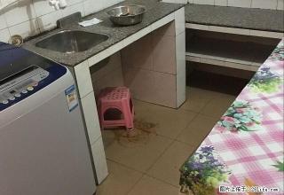 城中区连塘路妇幼旁 精致2房采光好 家电家具齐全 随时看房 - 柳州28生活网 liuzhou.28life.com