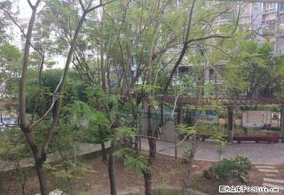 急租 谷埠街国际商城 精装大一房出租 53平米 - 柳州28生活网 liuzhou.28life.com