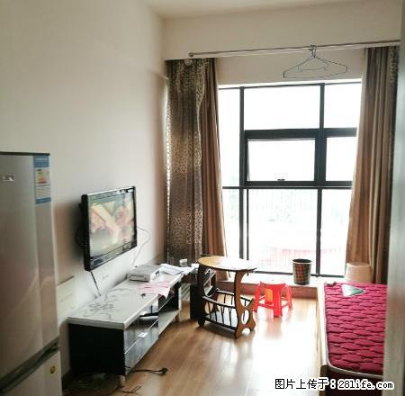 高新区彩虹城沃德梦想旁阳光100城市广场精装一房出租配套齐全 - 房屋出租 - 房屋租售 - 柳州分类信息 - 柳州28生活网 liuzhou.28life.com