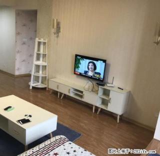 碧桂苑 全新精装3房 配置齐全 拎包入住 瞰景高层 - 柳州28生活网 liuzhou.28life.com