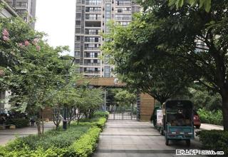 冠亚尚成空房出租 南北通透 朝南 小区环境恬静 - 柳州28生活网 liuzhou.28life.com