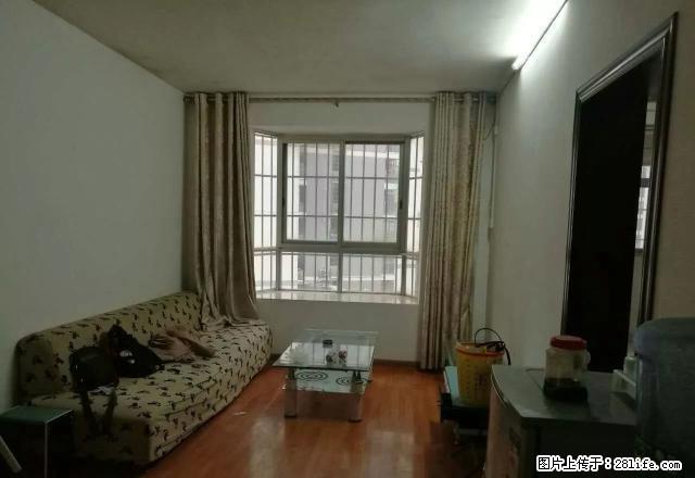 出租!东环商圈兴怡园1房1厅 拎包入住 免物业 真实房源 - 房屋出租 - 房屋租售 - 柳州分类信息 - 柳州28生活网 liuzhou.28life.com