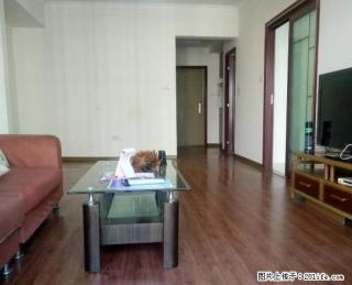 桂中大道 阳光100 精装两房 干净整洁 家电齐全 拎包 - 柳州28生活网 liuzhou.28life.com