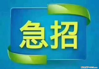 招出纳8000元/月，无证可以，要有相关经验，上海五险一金，包住，包工作餐，做六休一。 - 柳州28生活网 liuzhou.28life.com