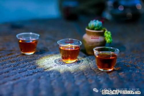 时间果百年古树2025年春红茶 - 购物交流 - 柳州生活社区 - 柳州28生活网 liuzhou.28life.com