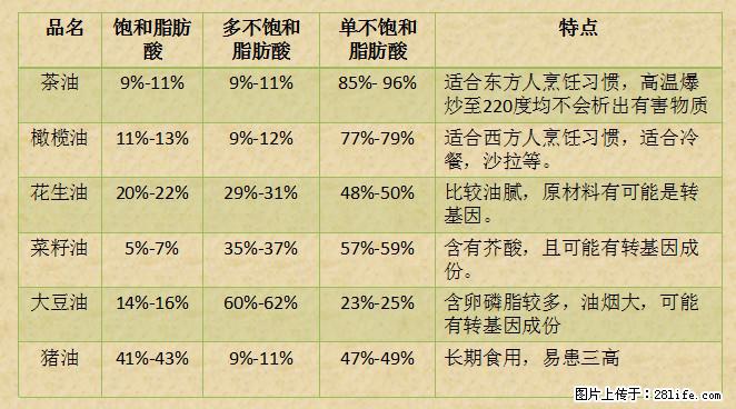 揭秘茶油的5大核心营养成分!被称为人体健康的“守护盾”! - 柳州生活资讯 - 柳州28生活网 liuzhou.28life.com