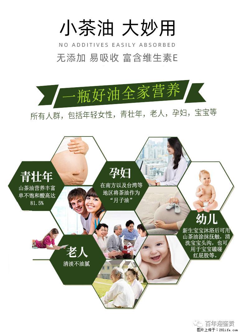 世界没有真相,只有认知,最好的食用油是中国的山茶油! - 柳州生活资讯 - 柳州28生活网 liuzhou.28life.com
