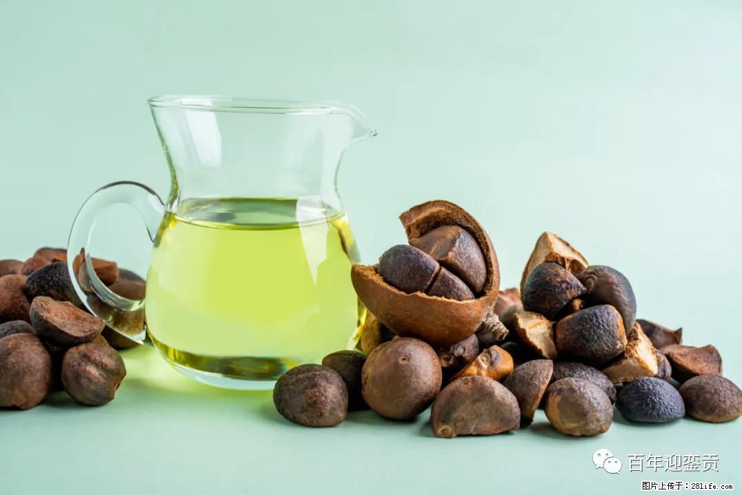 世界没有真相，只有认知，最好的食用油是中国的山茶油！ - 柳州生活资讯 - 柳州28生活网 liuzhou.28life.com