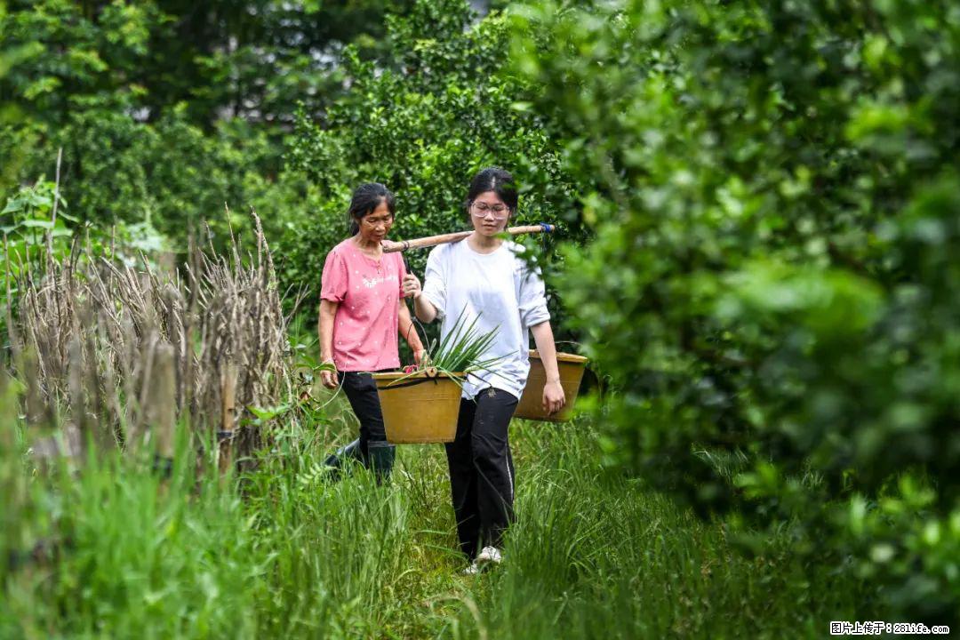 全网追的“扁担女孩”，找了一份暑假工，时薪12元 - 柳州生活资讯 - 柳州28生活网 liuzhou.28life.com