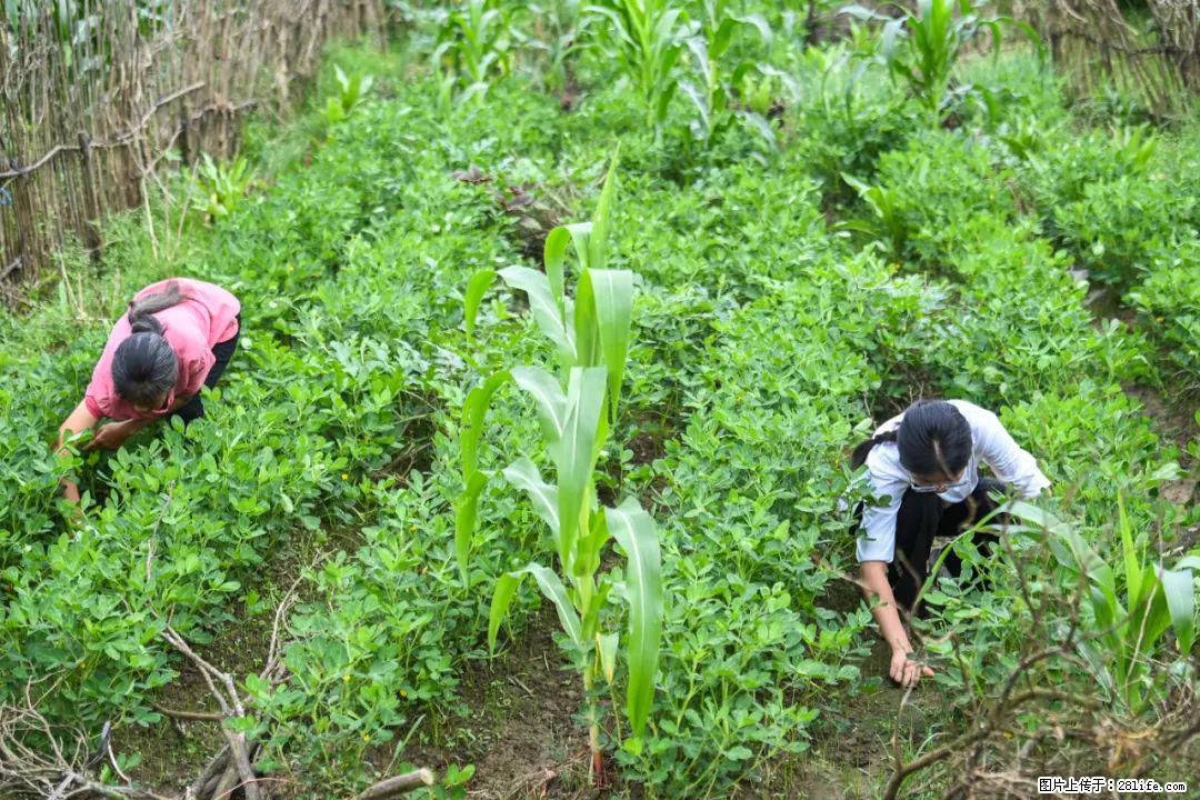 全网追的“扁担女孩”，找了一份暑假工，时薪12元 - 柳州生活资讯 - 柳州28生活网 liuzhou.28life.com