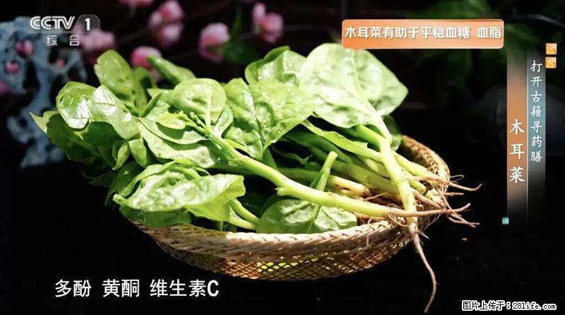 比牛奶补钙还厉害!凉血解毒、稳血糖...这菜冬天必吃,很多人却当草 - 柳州生活资讯 - 柳州28生活网 liuzhou.28life.com