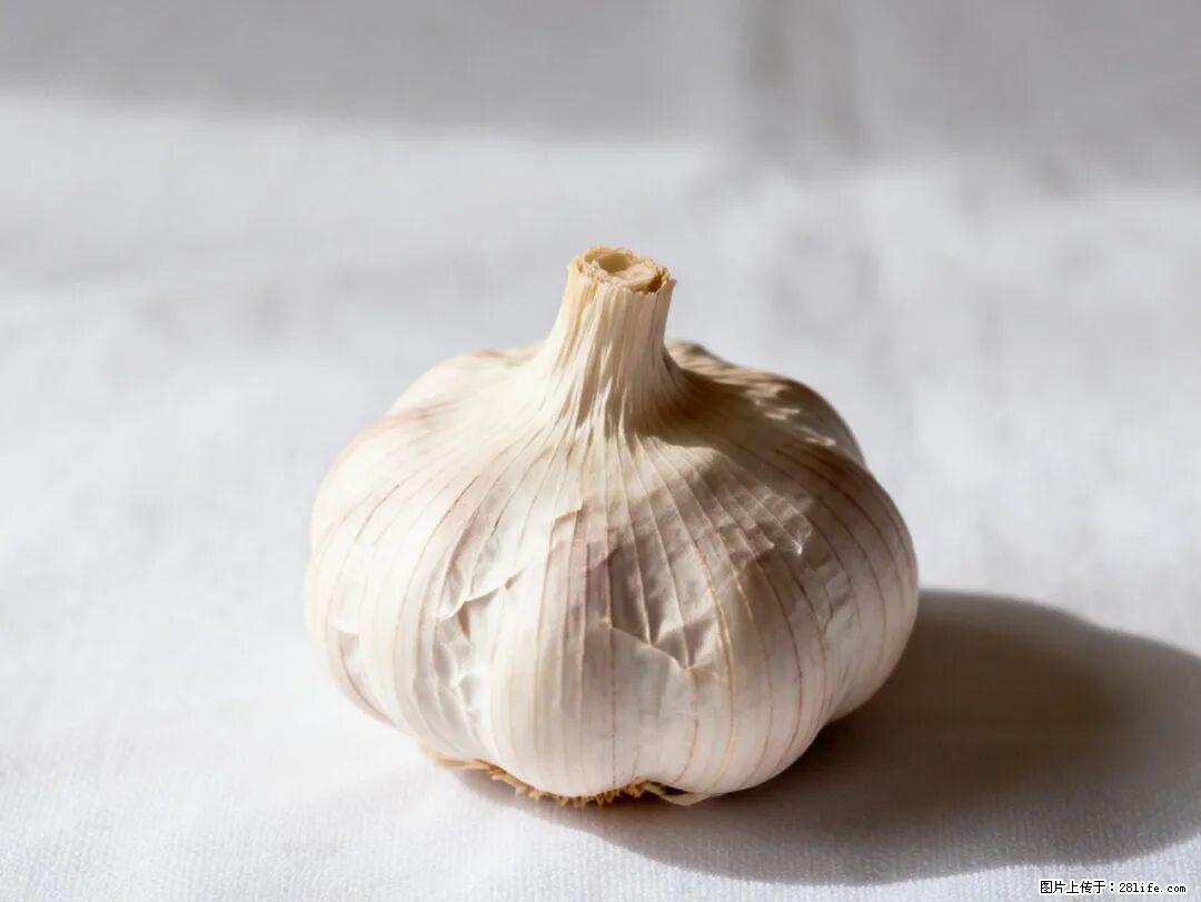 关于大蒜,除了“天然抗生素”,这4个谣言更该警惕! - 柳州生活资讯 - 柳州28生活网 liuzhou.28life.com