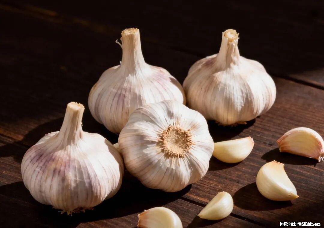 关于大蒜,除了“天然抗生素”,这4个谣言更该警惕! - 柳州生活资讯 - 柳州28生活网 liuzhou.28life.com