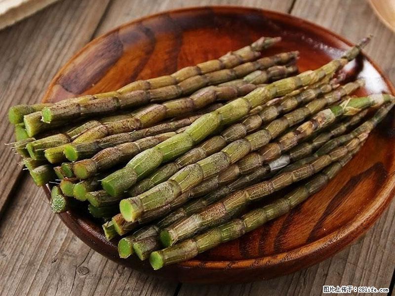 铁皮石斛的作用与功能主治 - 柳州生活资讯 - 柳州28生活网 liuzhou.28life.com